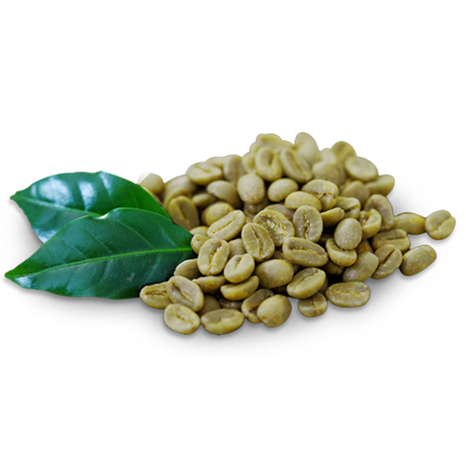 kisspng-green-coffee-extract-green-tea-cafe-5aeecfd92babc7.0930540315256002171789